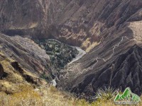 /album/album/a10610782-1382206498755697-4693188546271726829-n-jpg/