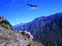 /album/album/a10891810-1382208192088861-2037883419435401879-n-jpg1/