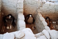 /album/album/a10438315-1427706094205737-1446352896649513327-n-jpg/