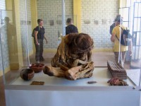 /album/album/a10930877-1427706140872399-59596021604239910-n-jpg/